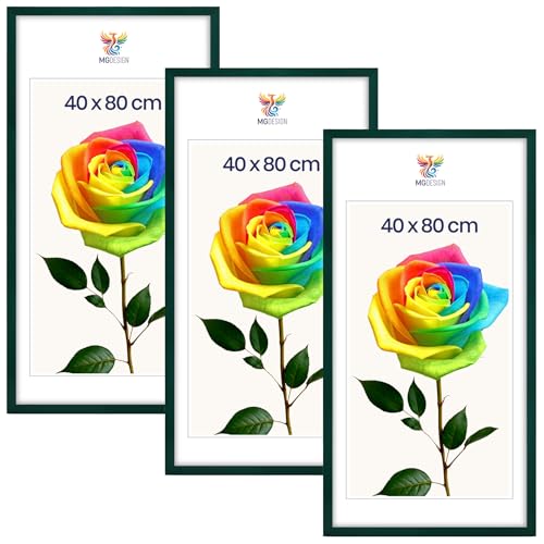 MG Design Set da 3 cornici portafoto 40 x 80 cm – Cornici in legno Verde con vetri acrilici infrangibili, verticale e orizzontale con fissaggio a parete stabile