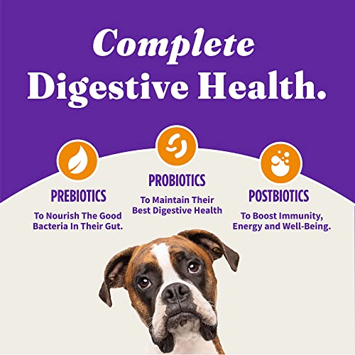 Halo 39210 Holistic Dog Food, Complete Digestive Health Cage-Free Chicken And Brown Rice Recipe, Dry Dog Food Bag thumb #7