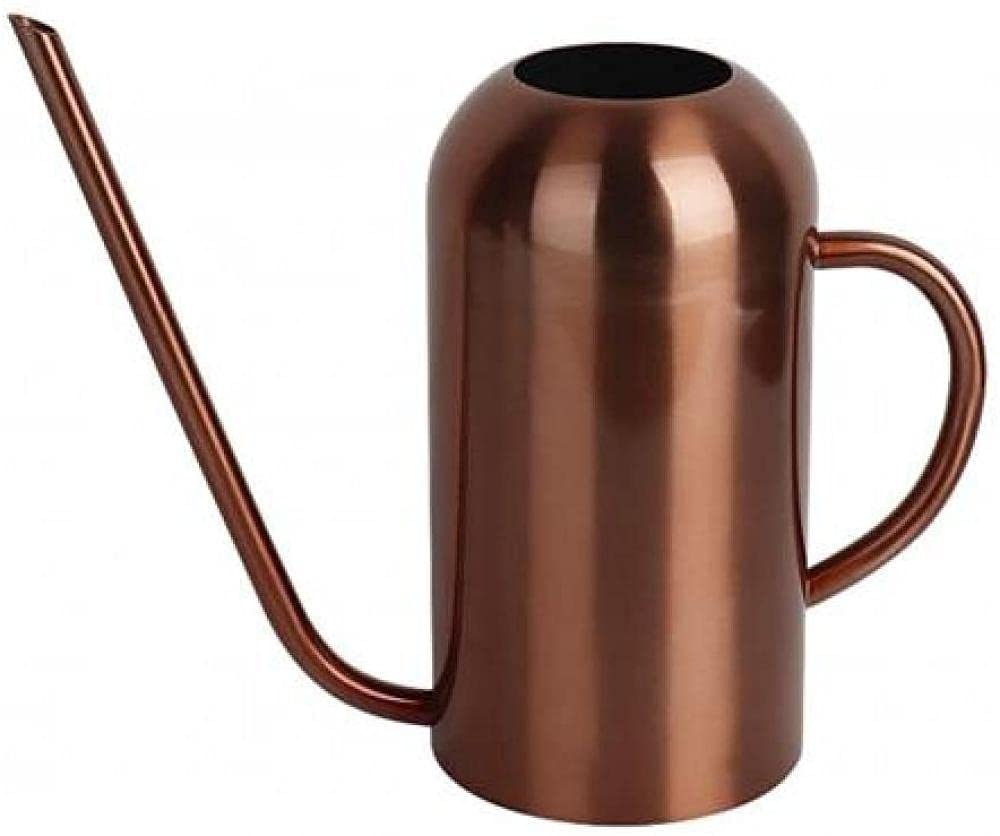 Arrosoir de jardin long bec pour arroser les plantes sans éclabousser