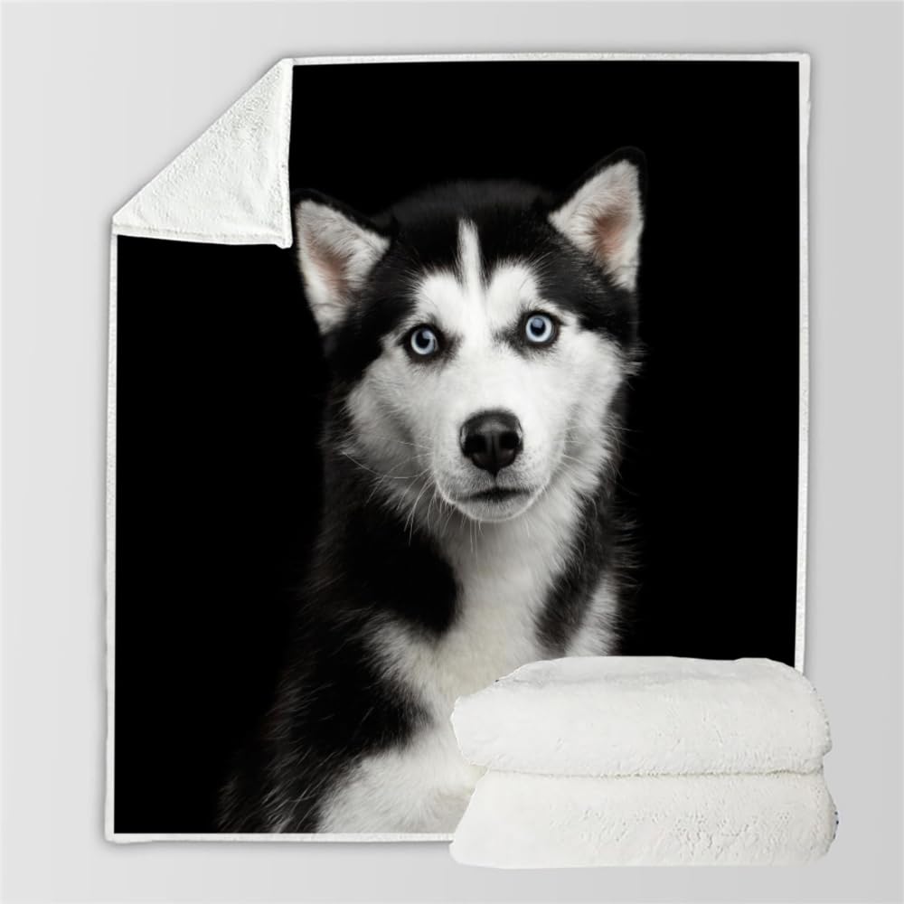 Douce Flanelle Couverture Polaire 3D Chien Husky Microfibre Fluffy Couverture de literie 2 Personne Chien Animal Compagnie Enfant Adultes Fille Garcon Sherpa Couverture de canapé 150x200cm
