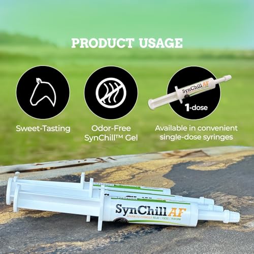 SynChill AF Calming Gel for Nervous Horses - Single Serving - Advanced Formula with L-Theanine, Increased Potency, 100% Natural Supplement, Disposition & Confidence Support for Horses - 3 Pack - Thumbnail 4