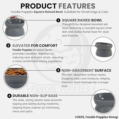 Image of Foodie Puppies Cat Raised Food and Water Feeder Bowl - (Square Raised Bowl, 250ml) | Anti-Slip and PP Material Pet Feeding Dish | Suitable for Cats, Kittens, and Puppies (Color May Vary)