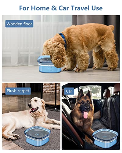 Gamelle anti éclaboussures chien poils secs et buveur glouton