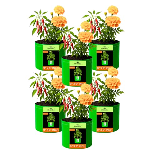 Image of Kingwell grow bags 9x9 inches pack of 6 Grow Bag For Terrace Garden Leafy Vegetable Plant Grow Bags Fruits Growing Containers For terrace Gardening