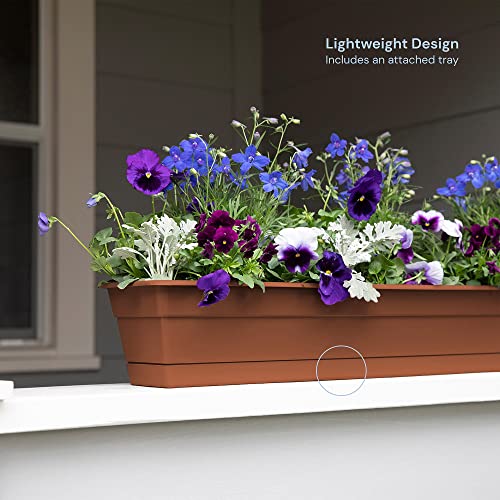 Bloem, 24, Terra Dcbt24-46 Dura Cotta Plant Window Box, Inch #TOP2