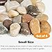 River Rock Stepping Stones Outdoor for Garden Walkway, 6 Pcs 12