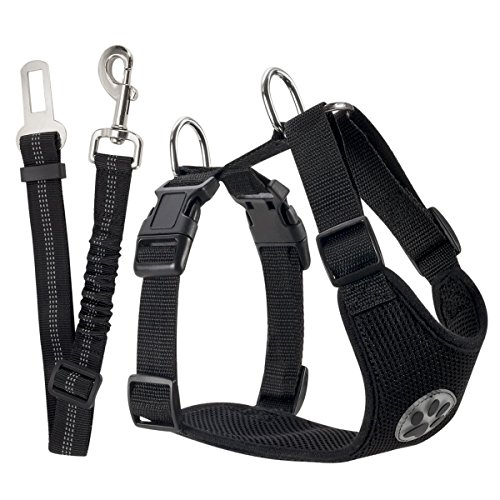 best dog vehicle harness