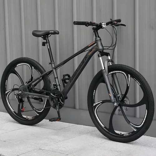 Tcrciuk }EeoCN 24/26C` 21/24iϑ MTB ] fBXNu[L D悯ACAC̃v[gt Yf|t[ rz ʋ ʊw w Z w l j̎q ̎qS (6nzC[