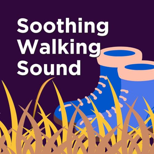 Walking Through Tall Dry Grass - Quiet Mind Reset + Sensory Safe Audio Mask Distracting Background Noise