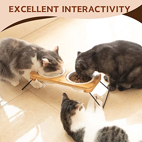 Pluroof Ceramic Elevated 15°Tilted Cat Bowls, Cat Raised Food And Water Feeding Dishes Bowls, Non-Slip Metal Frame Stand Feeder Bowl Set For Cats And Small Size Dogs #TOP5