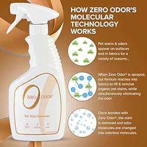 Zero odor  pet stain remover  odor eliminator  permanently remove stain  odor with patented technology best for carpet furniture floors pet bed look and smell great 16oz over 400 sprays   cucciolini doodles