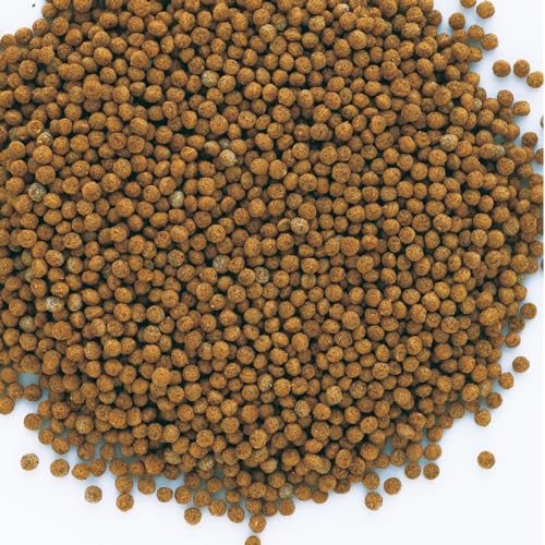 Image of Tetra Bits Gold Exotic Goldfish Fish Pellet Food 80 gram