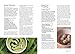 The Forager Chef's Book of Flora: Recipes and Techniques for Edible Plants from Garden, Field, and Forest