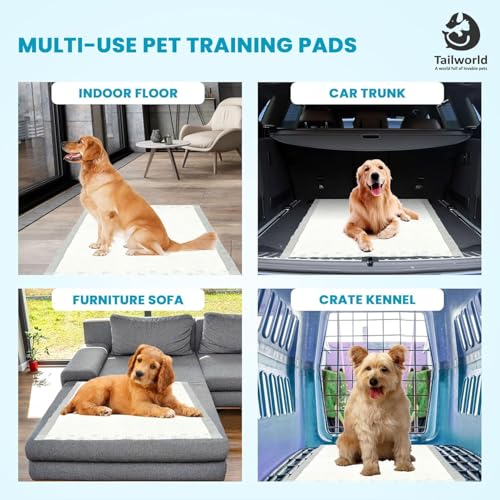 Image of Training Pads, with Odor Lock Technology & Super Absorbent Pee Pads, Leak-Proof Dog Potty Training Pads for Puppies, Dogs,Cats & Rabbits (60 X 60 cm) 50 Pcs