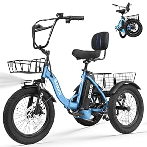 T300 Adults Electric Trike Bike, 1200W Peak Motor & 624Wh T300 Adults Electric Trike Bike, 1200W Peak Motor & 624Wh