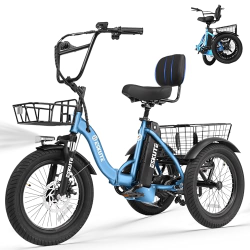 T300 Adults Electric Trike Bike, 1200W Peak Motor & 624Wh