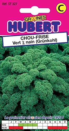 Graines de Chou Frisé 1/2 Nain - Kale - 2 grammes