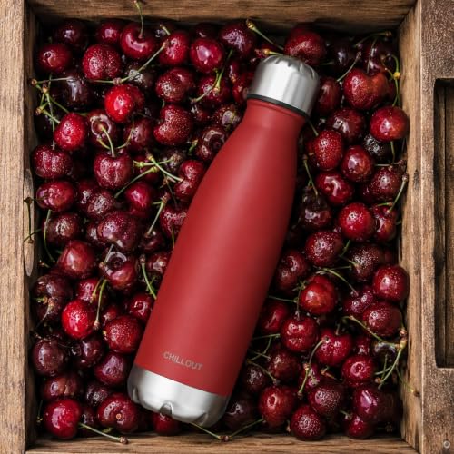 Image of CHILLOUT LIFE 17oz Insulated Stainless Steel Water Bottle, Leak Proof