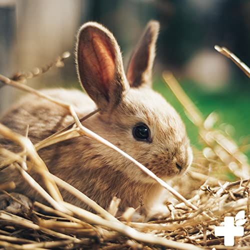 ReaVET Natur Nagerfutter 10 Liter - Kaninchenfutter, Meerschweinchen Futter, Hamster, Nager - Artgerecht mit Gemüseflocken, Kräutern, Getreide, und Luzerne, Ohne künstliche Zusätze – Bild 5