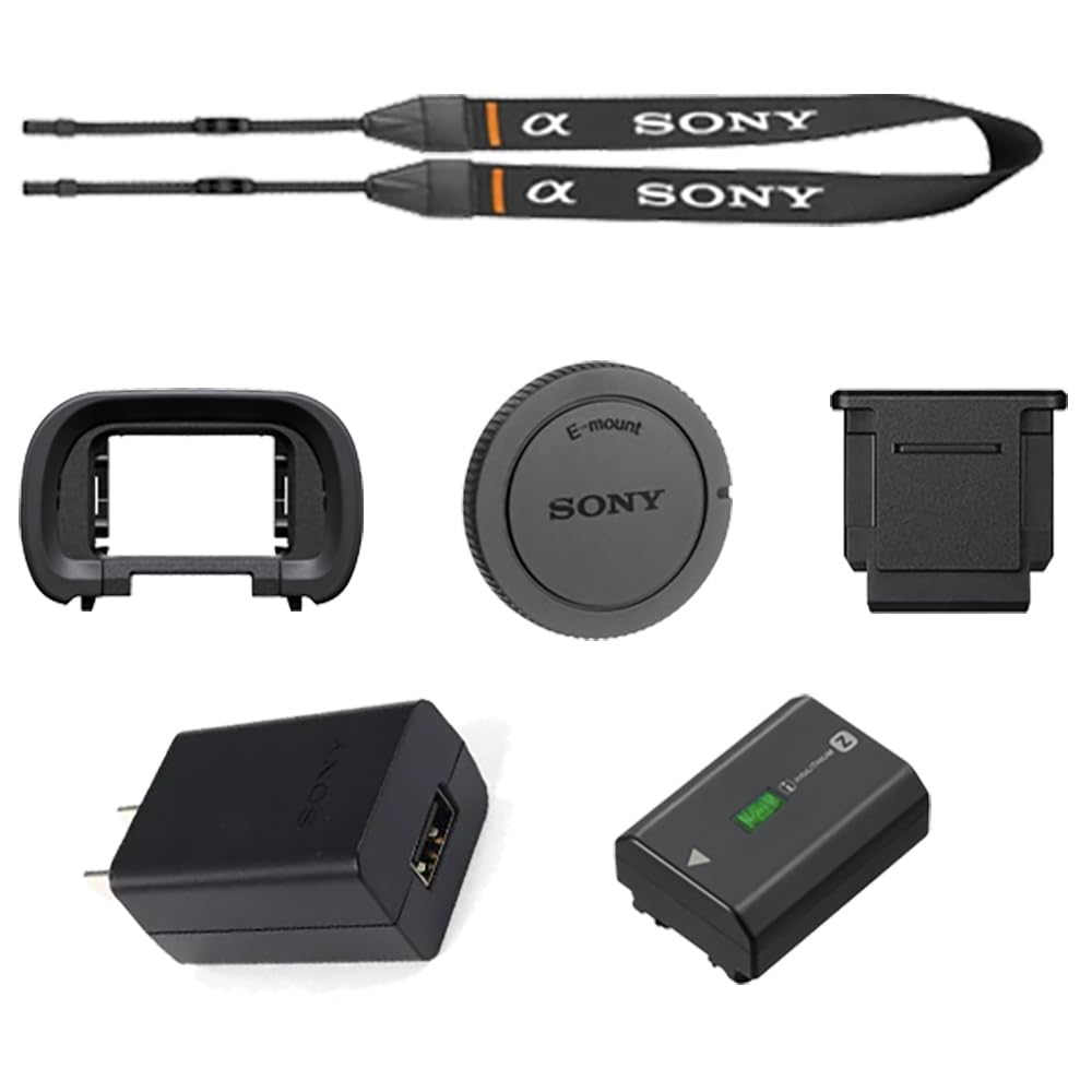 Sony Alpha a7 IV Mirrorless Camera Body Bundled with 64GB Memory Card + Camera Case + Cleaning Kit + Memory Card Case + Card Reader + Screen Protectors + Battery Charger + Cloth (9 Items)