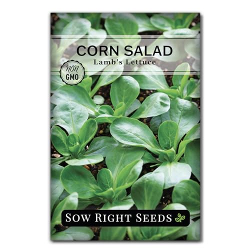 Sow Right Seeds - Lambs Lettuce Corn Salad Seed for Planting Leafy Greens