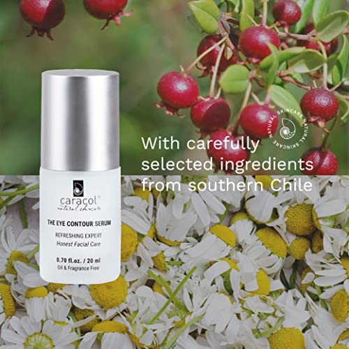 Caracol Natural Skincare - Day & Night Eye Contour Serum - W/Chamomile, Aloe Vera, And Vitamin E For Brighten Dark Circles - Under Eye Care, Cruelty Free, Revitalizing Serum - (0.7 Fl. Oz.) #TOP5