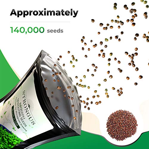 Strongus Broccoli Sprouting Seeds - Non-GMO, Natural, Natural Seed Sprouter - Sustainable for Year-Round Microgreen Garden Planting & Growing, Indoors or Outdoors - Grown in The USA -1/2 LB Pack - Thumbnail 6