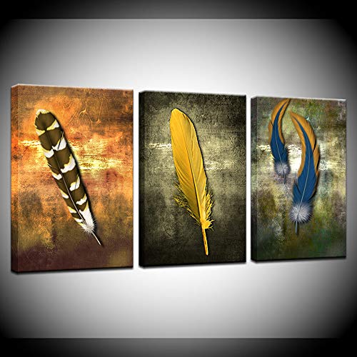 Cuadros en Lienzo de Plumas Abstractas de 30x50cm Juego de 3 Piezas Modernas Enmarcadas para Pared