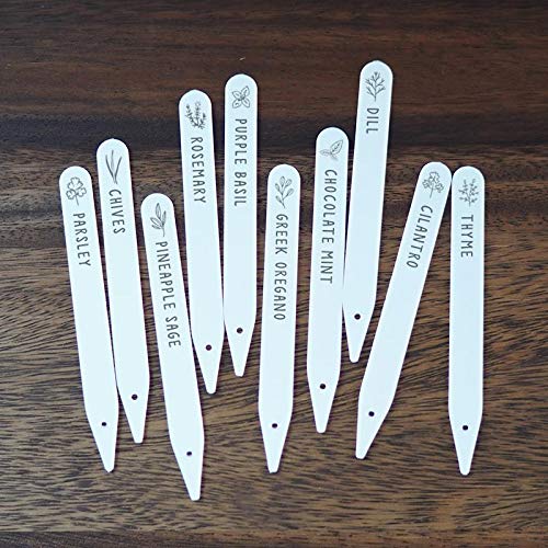 Amazon.com: Mini Wim Custom Plastic Plant Herb Garden Labels ...