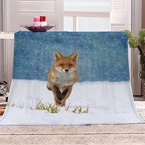 KINITA Tier Füchse Kuscheldecke Flauschige 3D Decke 150 x 200 cm Mikrofaser Sanft Flanell Weich Decke Fleecedecke Sofaüberwurf Tagesdecke kinderdecke für Bett/Sofa