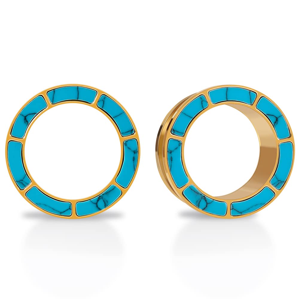 PUNKYOUTH Blue Turquoise Stainless Steel Ear Flesh Tunnels Screw Fit Ear Gauges Stretcher Expander Piercing Jewelry