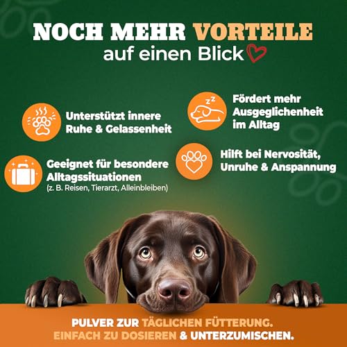 NATIVIVO K1 Relax Komplex Pulver Beruhigungsmittel für Hunde - Baldrian Hanföl & L Tryptophan Hund Beruhigung - Hunde Beruhigungsmittel unterstützend bei Angst & Stress - Beruhigung Hund - 100 Gramm