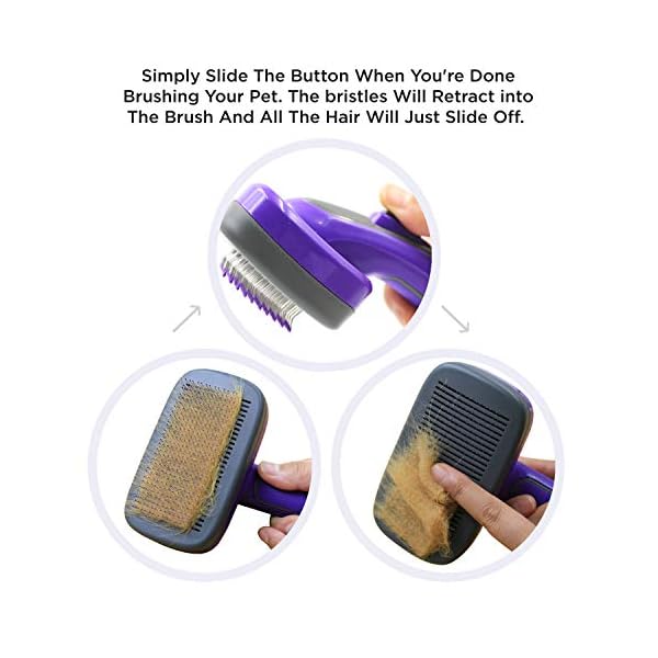 Hertzko Self Cleaning Slicker Brush with Plastic Tips for Sensitive Dogs and Cats. Gently Removes Loose Fur, Undercoat, Mats, and Tangled Hair. Safe and Painless for Your Pet. Small Hertzko Self Cleaning Slicker Brush with Plastic Tips for Sensitive Dogs and Cats. Gently Removes Loose Fur, Undercoat, Mats, and Tangled Hair. Safe and Painless for Your Pet. Small