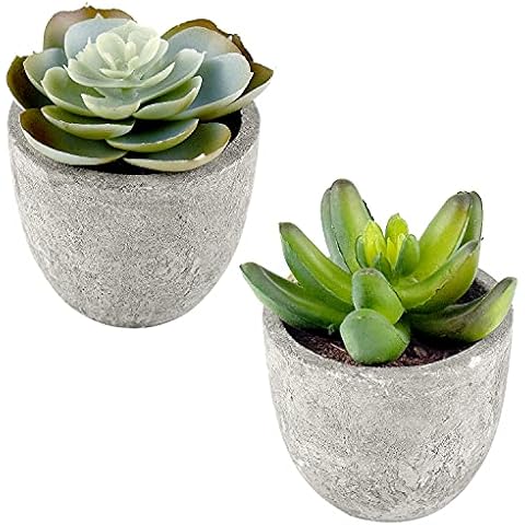 Thyores 2 Pack Artificial Fake Plants Mini Succulents Plants with Plastic Pots, Decorative Plants for Home Decor, Office Desk Plants Cover