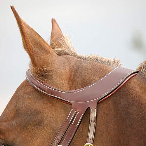 Bridon Difference Dy'on en cuir marron taille cheval pour le confort du style