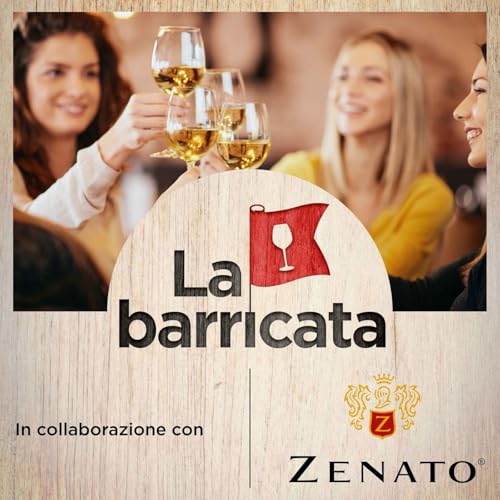 Per conquistare i giovani cambiamo tono di voce (con Marzia Varvaglione) - La barricata, 26 Podcast Por  arte de portada