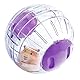 Rosewood 19329 Boredom Breaker Aktivitäts-Glitzerball für Hamster
