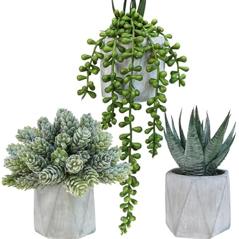 Winlyn Set of 3 Mini Succulents Cover