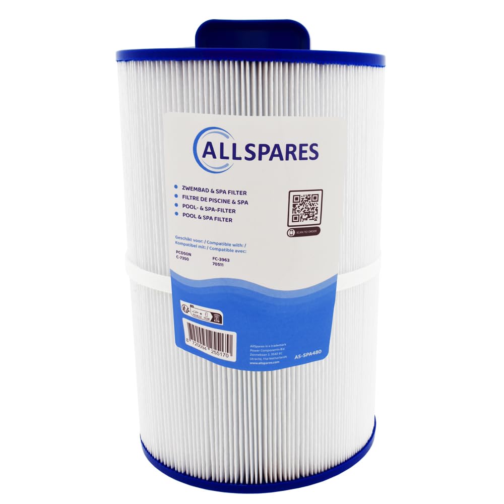 AllSpares Filtre Whirlpool, filtre de piscine, cartouche filtrante spa de rechange pour Caldera PCD50N | Unicel C-7350 | CA50 | 75017 | Kauai 2003 | Martinique 2003 | 178 x 273 mm | Ouverture 66 mm