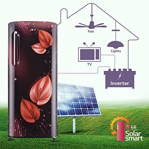 Image of LG 224 L 4 Star Inverter Direct-Cool Single Door Refrigerator Appliance (GL-B241ASVY, Scarlet Victoria, Smart Connect)