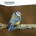 Donath Erdnüsse gehackt - reich an natürlichem Fett - wertvolles Ganzjahres Wildvogelfutter - aus unserer Manufaktur in Süddeutschland - 2 Kg