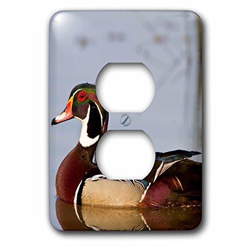 Canard en bois de Marion plaque de prise decoratives pour une ambiance chalet nature