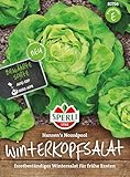 Kiepenkerl