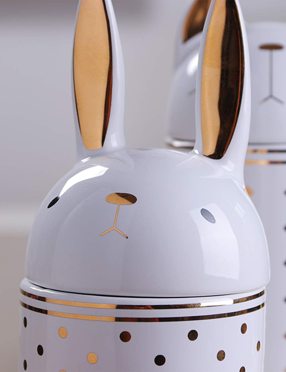 HAUCOZE Ceramic Rabbit Cookie Jar Decorative Candy Jar with Lid Modern Kitchen Decor Canister Gifts 8.1 Inch