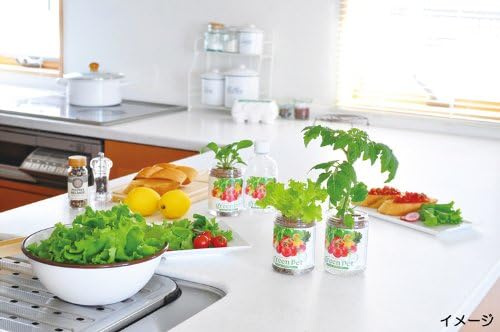 Amazon Co Jp 聖新陶芸 育てるグリーンペット ベジ レタス Gd ホーム キッチン