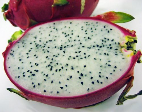 Amazon 沖縄県産 ドラゴンフルーツ白 １個 フルッティア 果物 通販