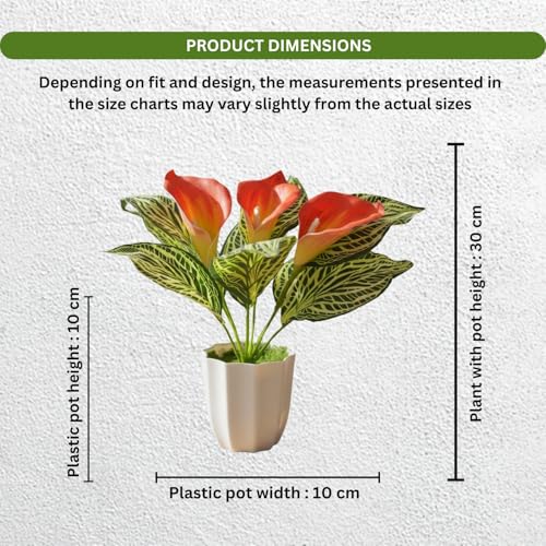 Image of fancymart Artificial Calla Lily Plant with Pot - 30 cm Height Decorative Flower Leaves (Pack of 1) | Realistic Faux Plant for Home & Office Decor | Table, Shelf & Desk Decoration