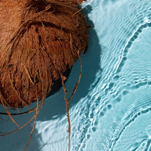 Image of Car Air Freshener - Premium Car Hanging Air Freshener, Long-Lasting Fragrance for Auto and Home (0.2 Fl Oz (Pack of 1), Pool Boy - Coconut, Orchid, Sandalwood, Vanilla)