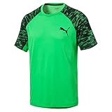 PUMA Herren DRI-Release SS Graphic Tee T-Shirt, Andean Toucan, XL