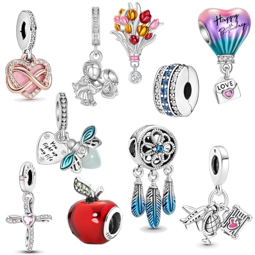 10 Pack Charms Sets 925 Sterling Silver fits Bracelets and Necklace Pendant Bead Charms Jewelry Gift for Women Family Friends